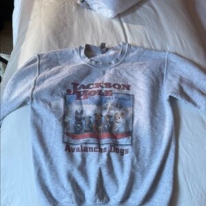 Gray Ski Patrol Men's Sweater